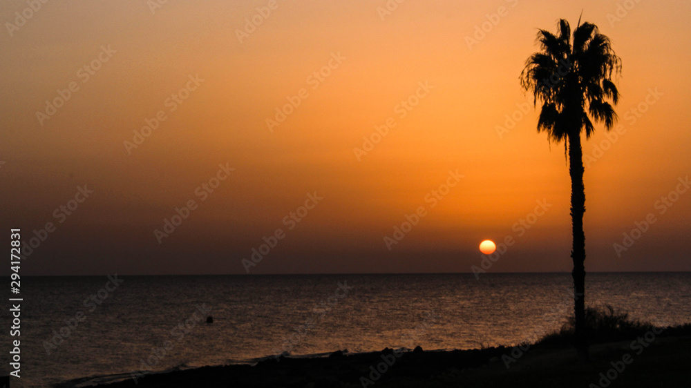 Sonnenaufgang Mittelmeer Palme Sonnenaufgang Mittelmeer Palme