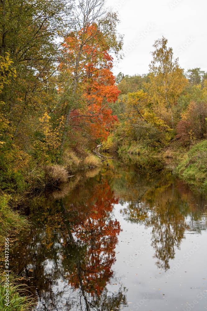 Autumn scene with colourful bright trees and river and reflections in water in Latvia Autumn scene with colourful bright trees and river and reflections in water in Latvia