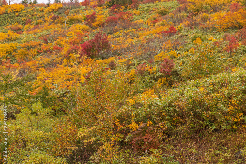 Towada Hachimantai National Park in early autumn Towada Hachimantai National Park in early autumn