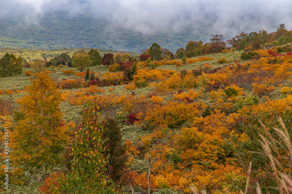 Fototapeta premium Towada Hachimantai National Park in early autumn