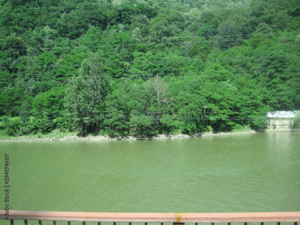 Fototapeta premium The river and the forest