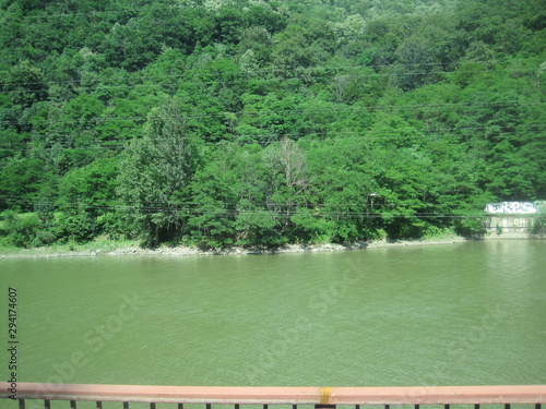 The river and the forest