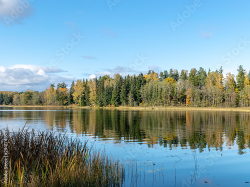 quiet landscape with autumn trees on the water's edge, beautiful reflections