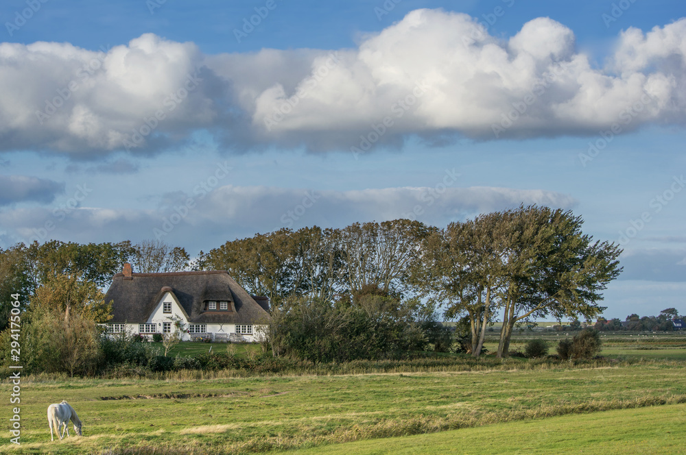 Landschaft auf der Halbinsel Eiderstedt bei Westerhever,Nordsee,Nordfriesland,Schleswig-Holstein,Deutschland Landschaft auf der Halbinsel Eiderstedt bei Westerhever,Nordsee,Nordfriesland,Schleswig-Holstein,Deutschland