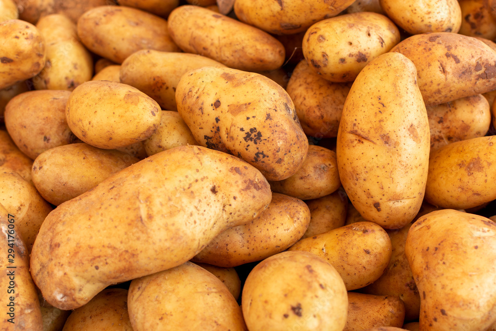 Potatoes on market, new harvest of potatoes vegetables close up Potatoes on market, new harvest of potatoes vegetables close up