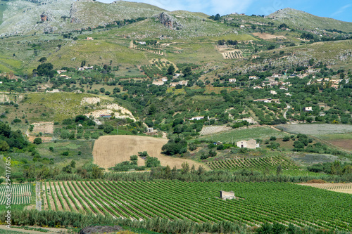 Landscape with vineyards, pastures and farms near Trapani, Sicily, agriculture in Italy