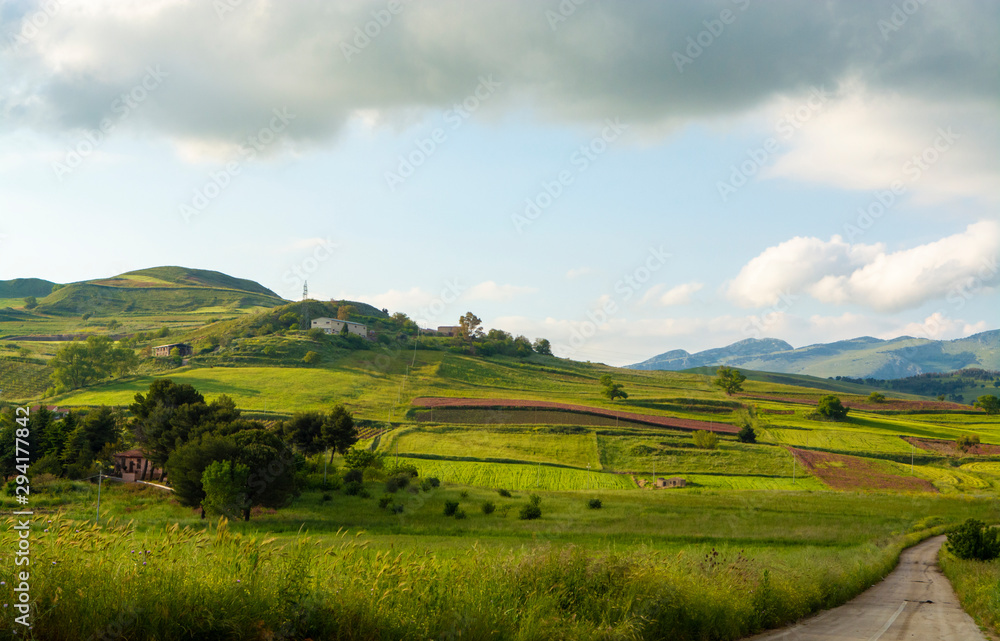 Landscape with colorful blossoming pastures and fields, honey flowers sulla from Sicily, agriculture in Italy
