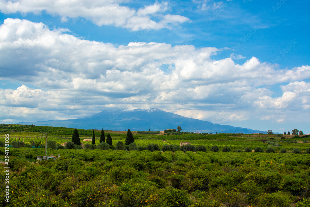 Landscape with orange and lemon trees plantations and view on Mount Etna, Sicily, agriculture in Italy