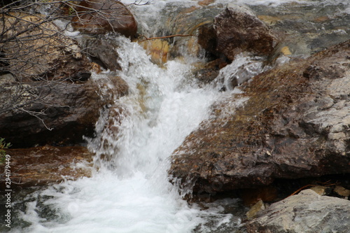 Flow Of The Creek, Jasper National Park, Alberta