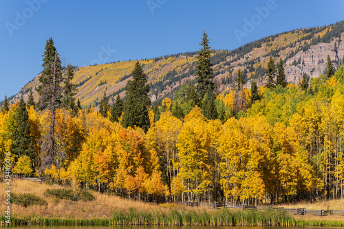 Autumn in the San Juan Mountains of Colorado. Aspen Trees With Shadows
