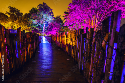 Fototapeta Naklejka Na Ścianę i Meble -  Multi-colored night lighting of the Scottish house garden.