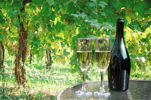 prosecco wine bottle and glasses on table in vineyard