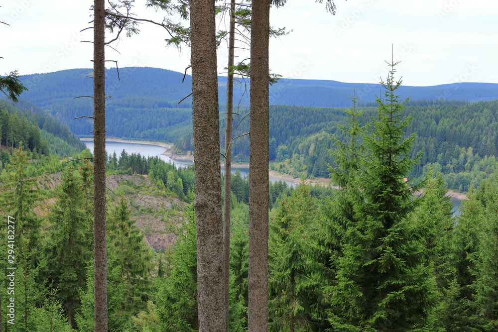 Obraz premium Reservoir Schmalwasser in Thuringia, Germany