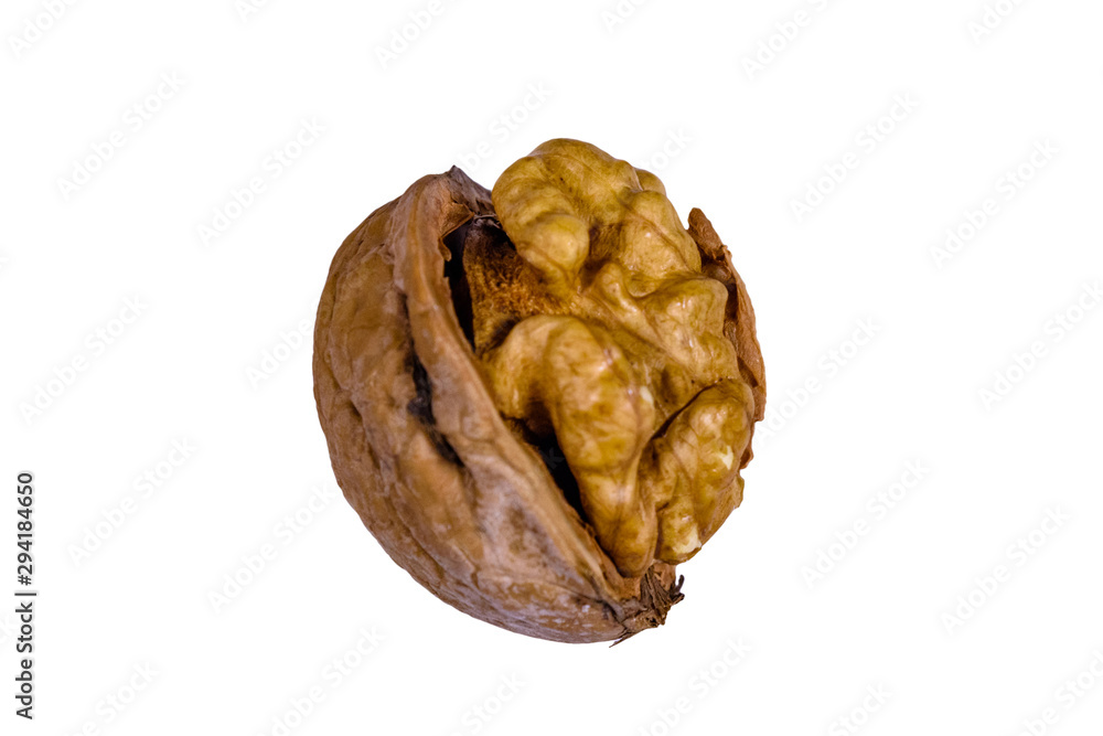 One walnut isolated on the white background One walnut isolated on the white background