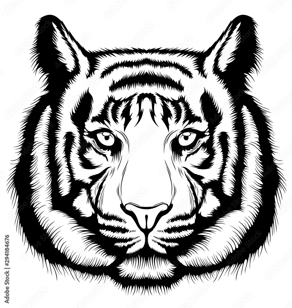 Obraz premium Tiger, wild big cat head.