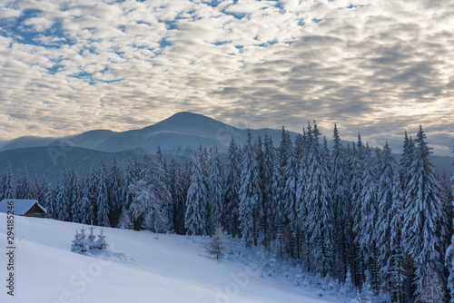 A magical winter in the Ukrainian Carpathian Mountains, on a snowy meadow with beautiful mountain lodges and spruce covered with snow, with beautiful views around © reme80