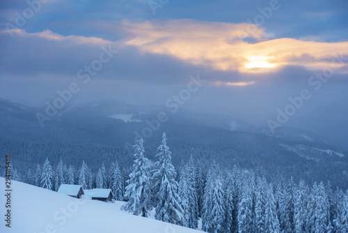 A magical winter in the Ukrainian Carpathian Mountains, on a snowy meadow with beautiful mountain lodges and spruce covered with snow, with beautiful views around