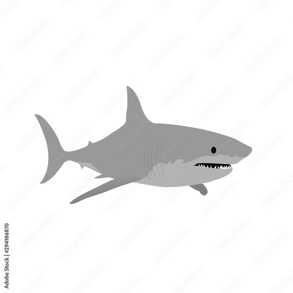 Shark vector illustration. Shark vector illustration.