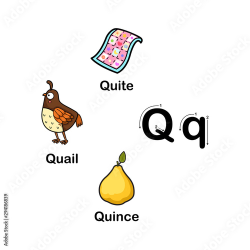 Alphabet Letter Q-quail,quince,quite vector illustration