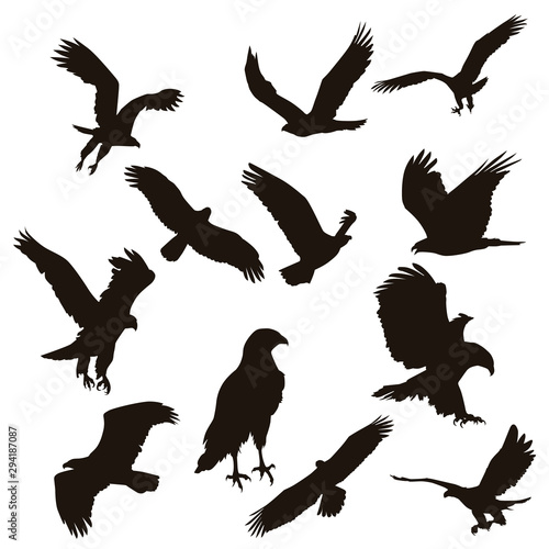 Eagle Silhouettes