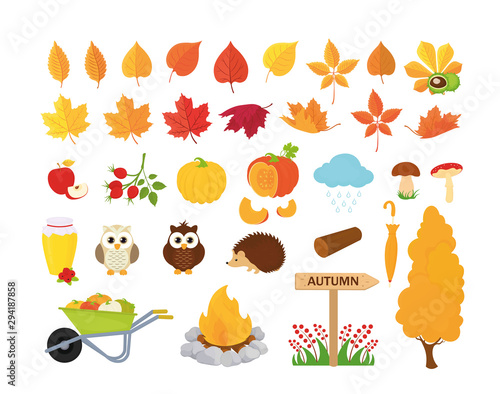 Fall season. Set of cute autumn cartoon animals, plants and food