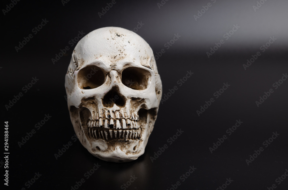 Human skull on black background Human skull on black background