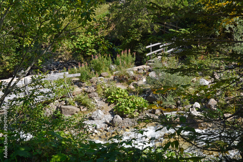 bärgunttal im kleinwalsertal photo