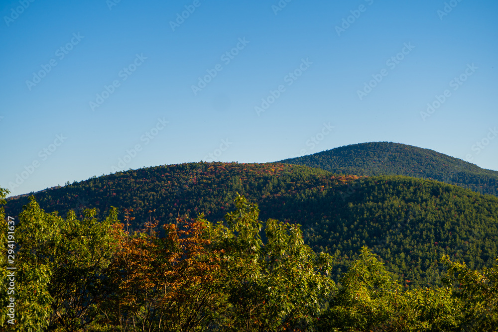 landscape in autumn mountains