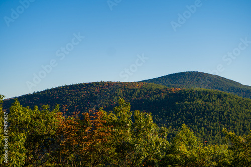 landscape in autumn mountains