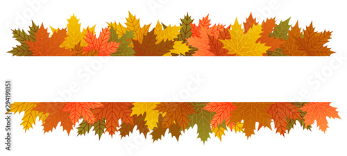 Autumn leaves banner, copy space, maple leaf