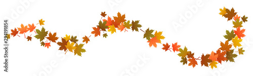 Autumn leaves in the wind, swirl, maple leaf