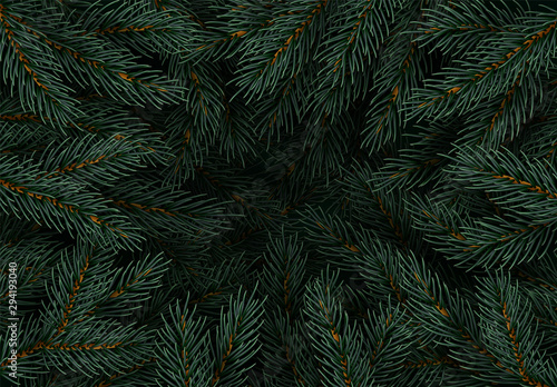 Christmas tree branches. Festive Xmas border of green branch of pine. Pattern pine branches  spruce branch. Realistic design decoration elements. Vector illustration