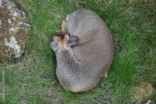 Zoo