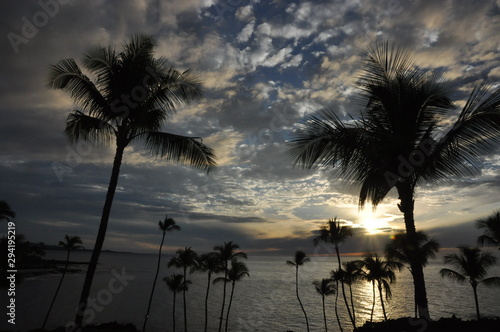 Evening in Paradise