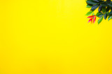 Yellow background, texture, pattern decorated by leaves