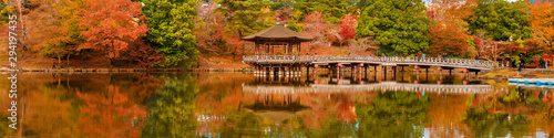 Scenic view of Nara public park in autumn, with maple leaves, pond and old or...