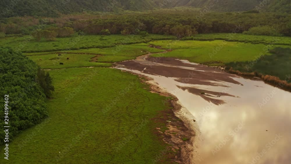 Aerial drone push-in bird's eye view tilt-up reveal shot of the water revealing the tree covered mountains in Pololu Valley, Hawaii Aerial drone push-in bird's eye view tilt-up reveal shot of the water revealing the tree covered mountains in Pololu Valley, Hawaii