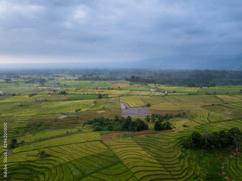 indonesia travel destination, aerial view of earth. amazing paddy fields in asia