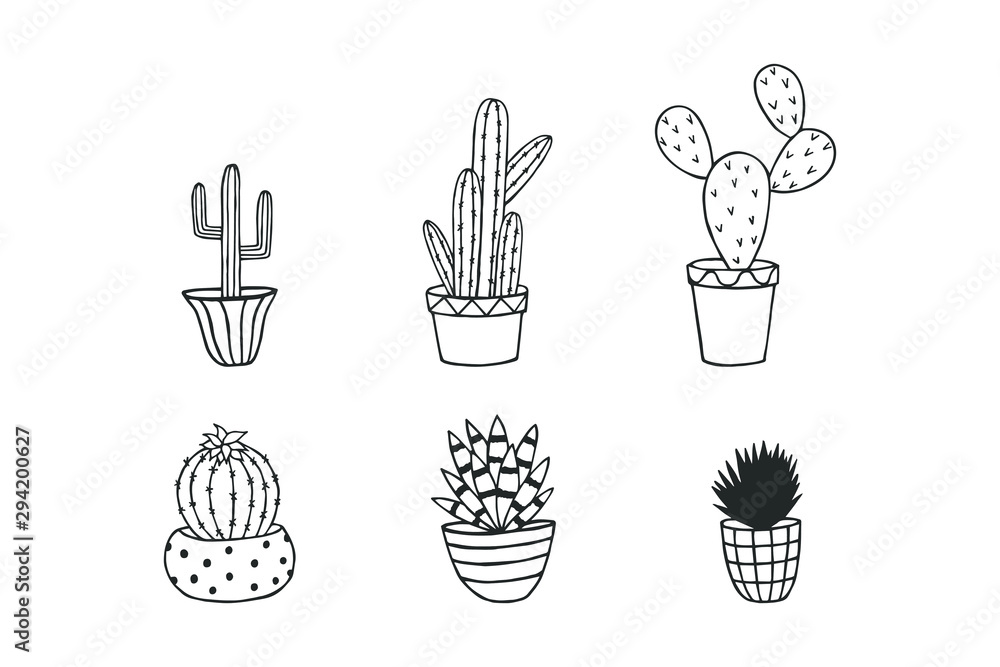 Fototapeta premium cactus in pots. eps10 vector illustration. art line. hand drawing