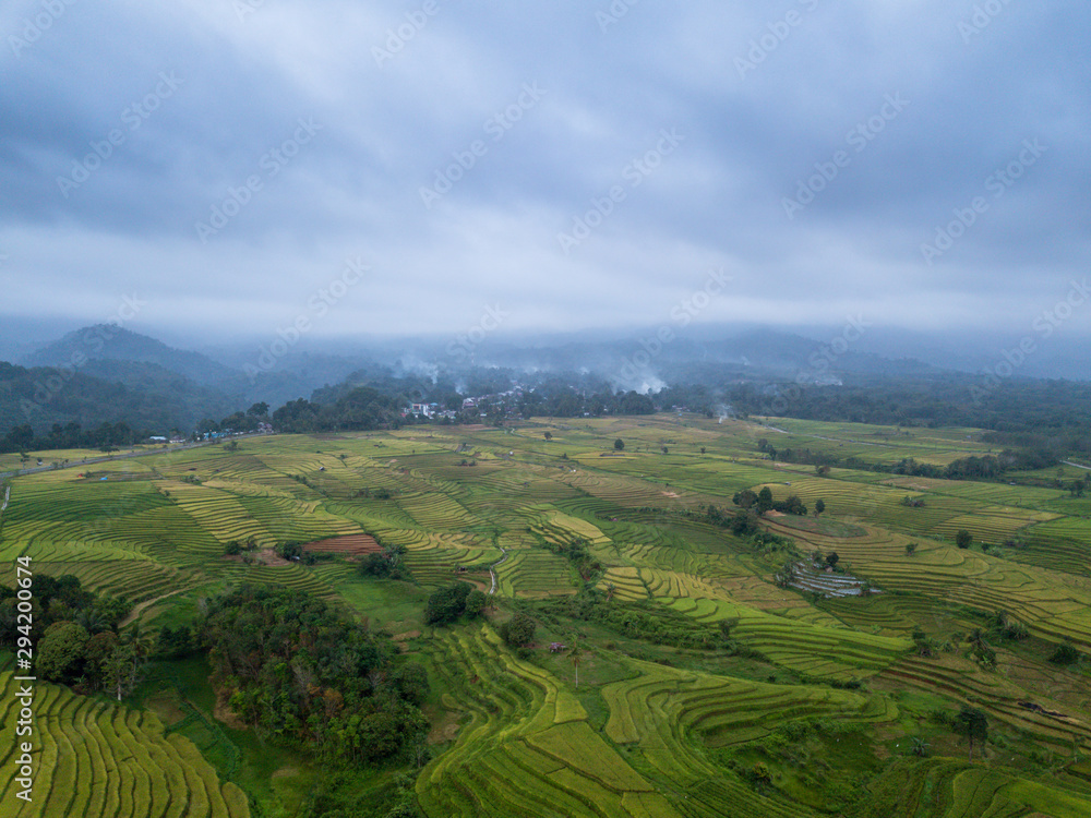 indonesia travel destination, aerial view of earth. amazing paddy fields in indonesia