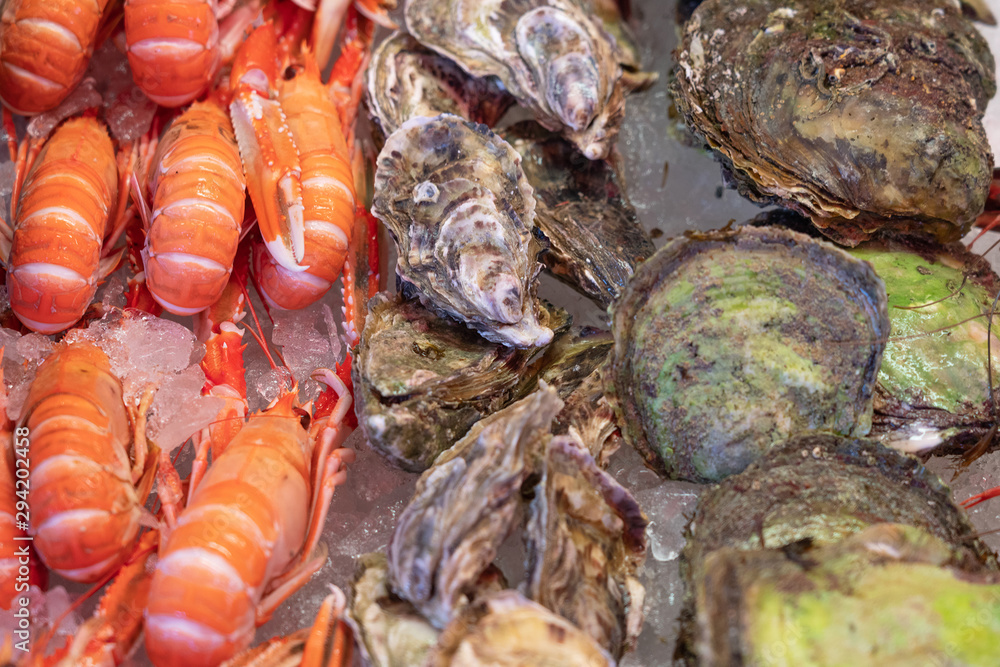 Shrimps, oysters and sea shells, sea food fresh mix on market Shrimps, oysters and sea shells, sea food fresh mix on market