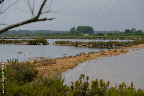 Riserva naturale a Palma di Maiorca, con fenicotteri in una salina © Stefano