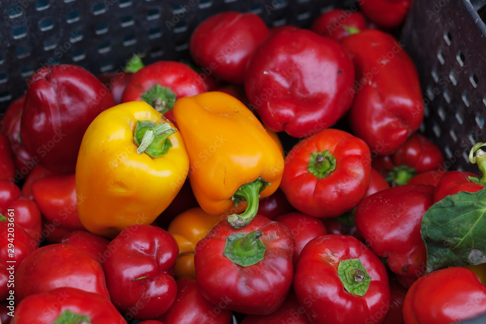 Red and yellow fresh peppers from market. Vitamin healthy food