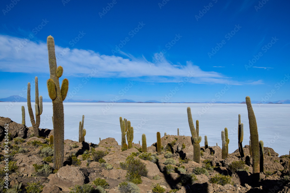 The Isla Incahuasi at the Salar de Uyuni