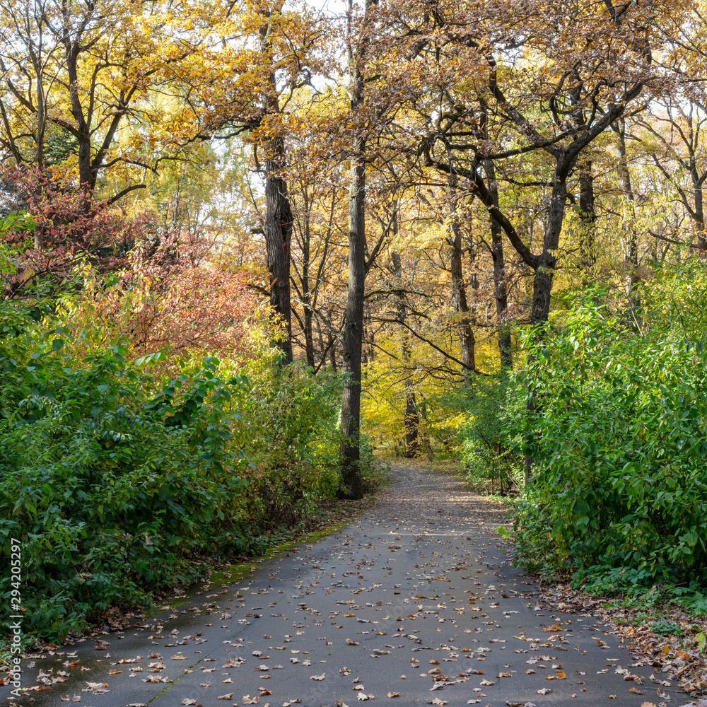 Botanical Garden. Autumn. Colorful leaves. Botanical Garden. Autumn. Colorful leaves.