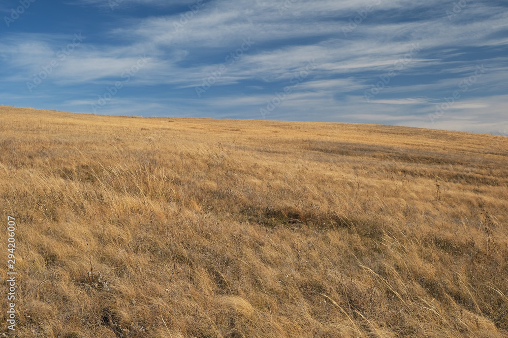autumn steppe and blue sky with cloudy clouds