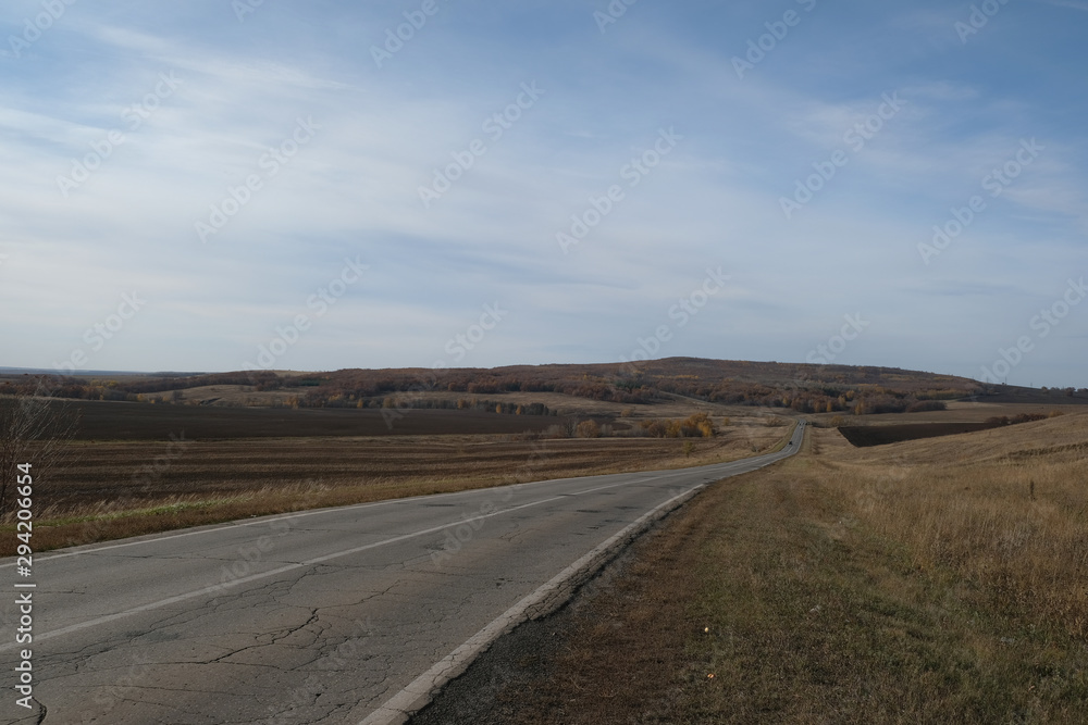 asphalt road, steppe and autumn forest