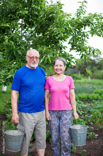 man and woman working in  vegetable  garden