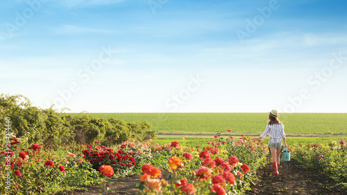 Woman with watering can walking near rose bushes outdoors. Gardening tool