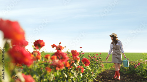 Woman with watering can walking near rose bushes outdoors. Gardening tool
